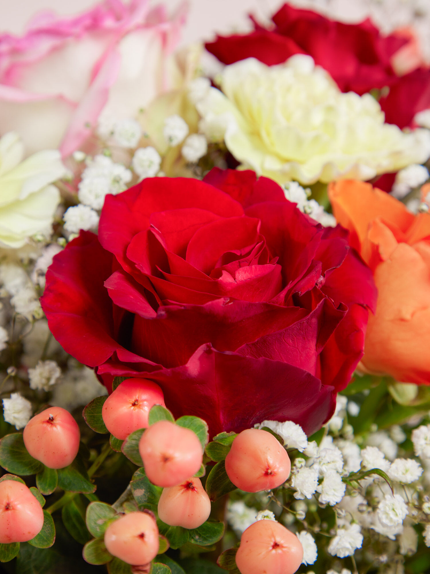 Blume, Blumen-Arrangement, Blumenstrauß, Rose, Blütenblatt